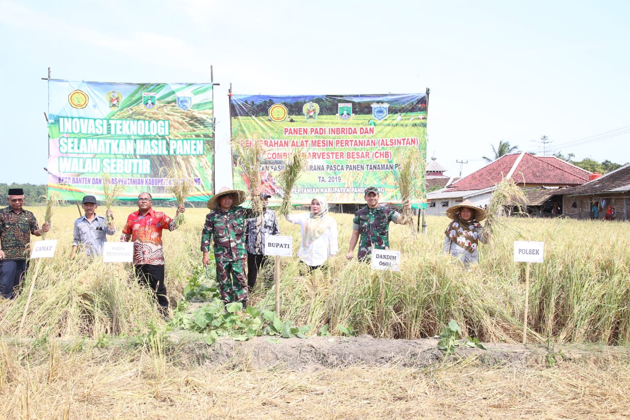Bupati Irna: SP3T Persempit Pergerakan Ijon Di Pandeglang