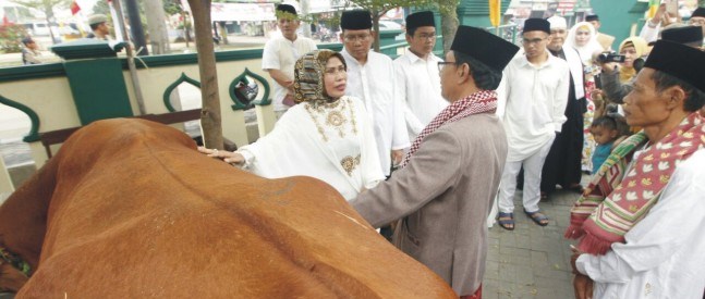 Idul Adha, Bupati Serang Berkurban di Tiga Lokasi