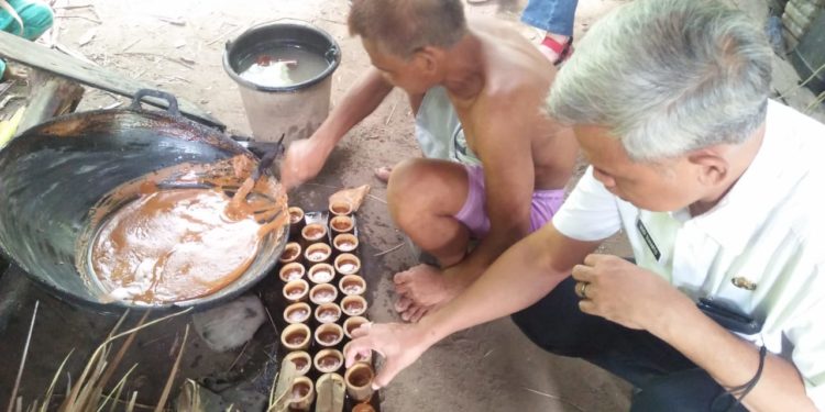 Perkebunan Kabupaten Serang Coba Kembangkan Empat Komoditas Utama