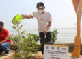Mad Romli Tanam 10 Ribu Pohon Mangrove di Pulau Cangkir