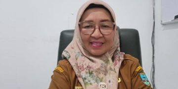 DKBP3A Kabupaten Serang Menyusun 10 Program Prioritas