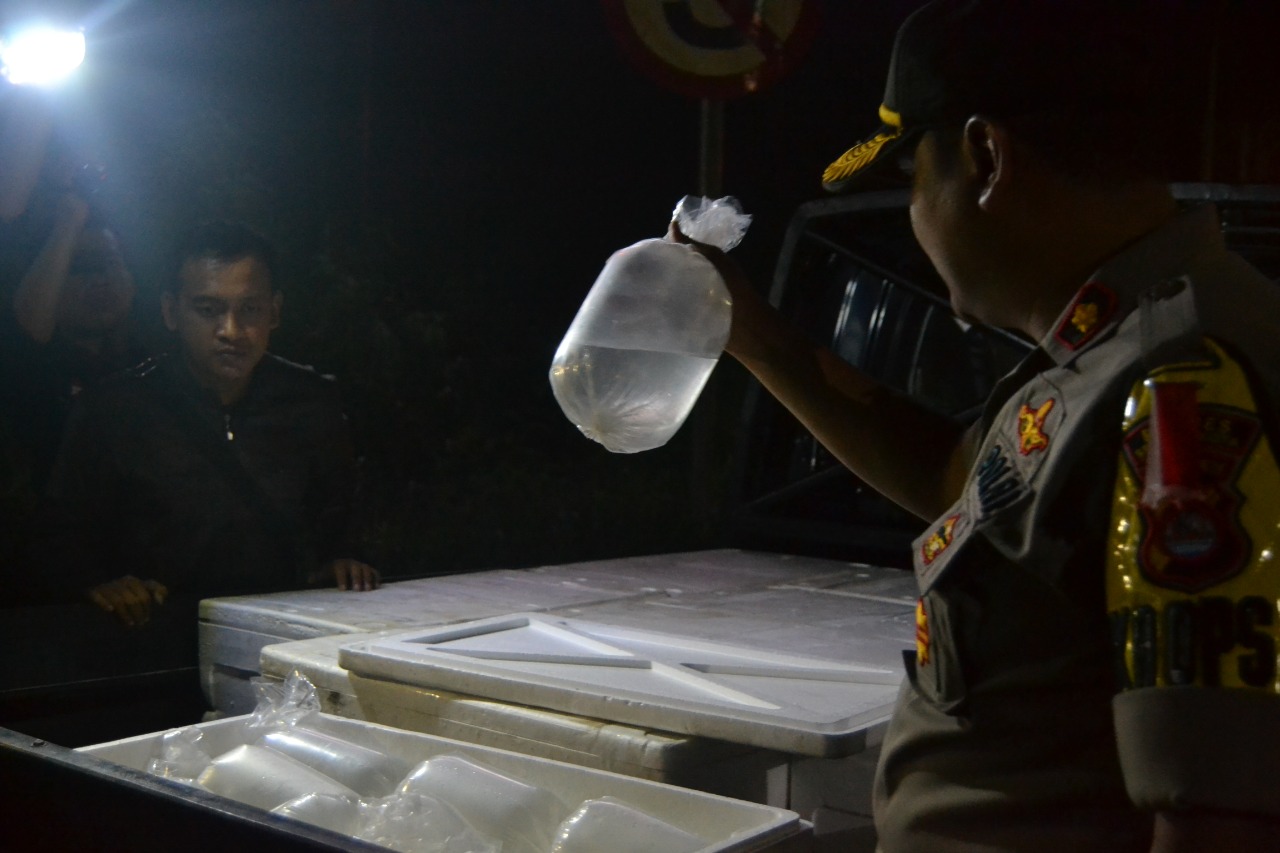 Polres Serang Kota Gagalkan Penyelundupan 600 Ribu Bibit Benur