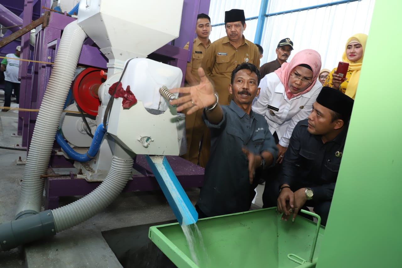 Produksi Pertanian Surplus, Beras Jaseng Terus Dipromosikan