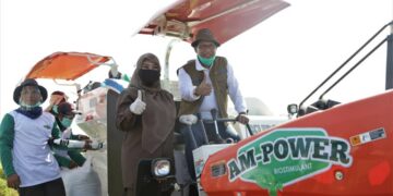 Bupati Irna bersama Dirut Perum Bulog Panen Raya Padi di Cikeusik