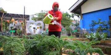 KWT Anthurium Tetap Produktif saat Pandemi Virus Corona Berkat Kreativitas