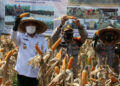Pemkab Tangerang Panen Raya Jagung Hibrida dan Lele di Desa Jambe