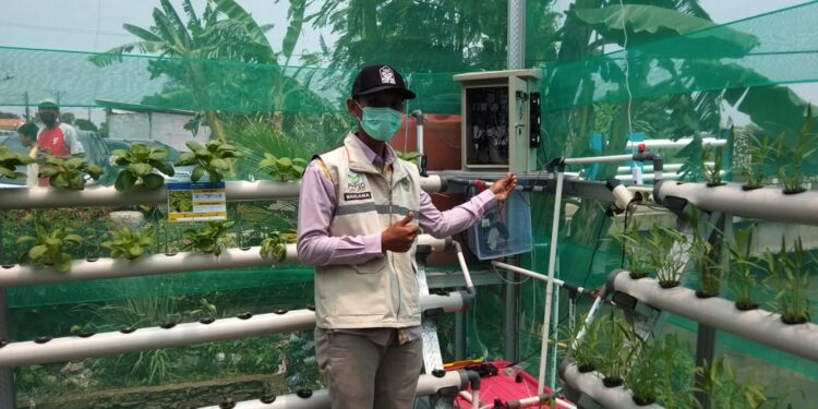 UNIS Tangerang Terapkan Aplikasi Sistem Monitoring & Kontrol Hidroponik di Mauk