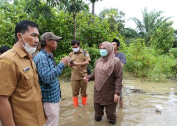 Bupati Irna Segera Kordinasi Dengan BBWSC3 Terkait Banjir Dampak Luapan Sungai