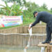 Bupati Tangerang Tebar 3 Ribu Benih Ikan Nila dan 1 Ton Benih Lele di Kronjo