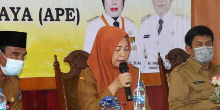 Verifikasi APE 2021, Kabupaten Serang Optimistis Raih Nilai Utama