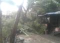 Cuaca Ekstrim Sebabkan 4 Rumah Rusak dan 1 Pohon Tumbang di Kabupaten Serang