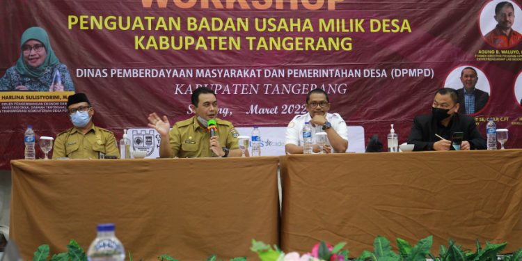 DPMPD Terus Lakukan Penguatan Terhadap BUMDes 