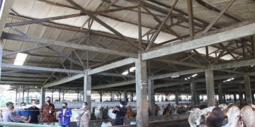 Dinas Pertanian Kabupaten Serang Bentuk Unit Reaksi Cepat