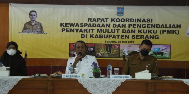 Pemkab Serang Bentuk Satgas Penanganan Wabah PMK