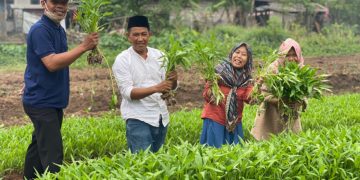 Kelompok Wanita Tani Kabupaten Tangerang Dibekali Cara Bertani di Pekarangan Rumah