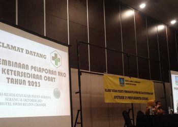 Dinkes Kabupaten Serang melalui Bidang SDK Lakukan Pembinaan RKO dan Persediaan Obat