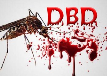 Dinkes Mencatat Ada 52 Kasus DBD Di Kabupaten Serang