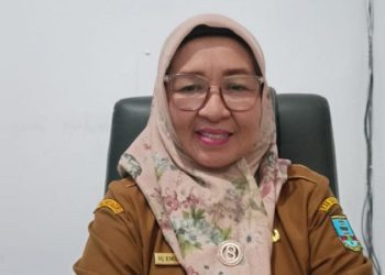 DKBP3A Kabupaten Serang Menyusun 10 Program Prioritas
